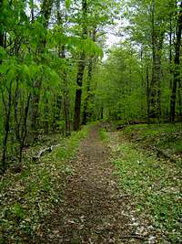 Dry Brook Ridge Trail