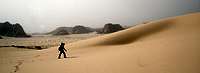 Dunes of the Sinai