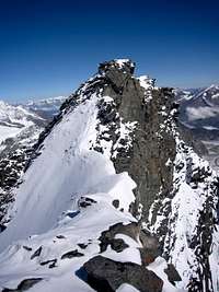 Summit ridge of Rimpfischhorn