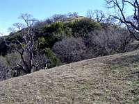 Rose Peak from the Ohlone...