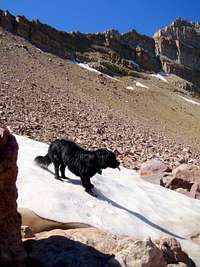 Old Priord Pass Trail