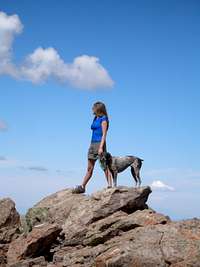 Summit of Uncompahgre Peak