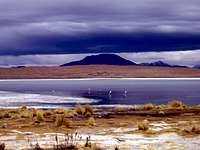 Laguna Colorada