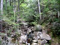 Ascending Crawford Notch