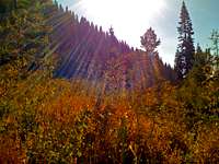 Rocky Canyon Fall Colors
