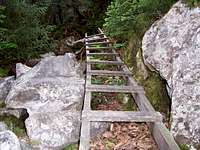 One of the Ladders