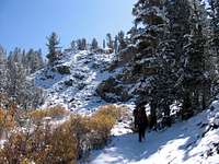 New Snow on the Bishop Pass Trail