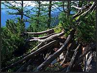 Above Jenkova planina