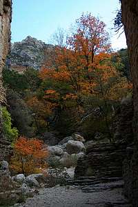 Pine Spring Canyon