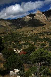 Pine Springs Canyon