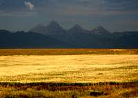 Wheat Fields and Teton Range