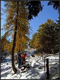 Towards the summit of Jerebicje