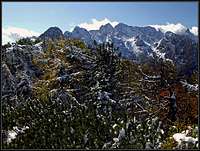 Reaching the summit of Jerebičje