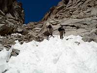 From Snow to Scree