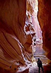 BUCKSKIN GULCH