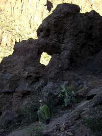 Jill, emulating the nature of a cactus