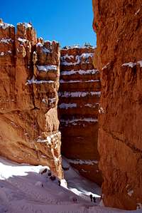Fresh Snow in Bryce Canyon