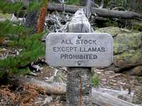 Llamas Welcome