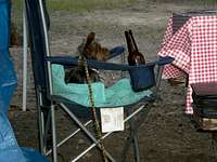 Even Dogs Need Beer Now and Again