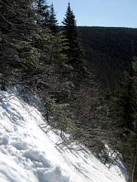 The Flume Slide Trail
