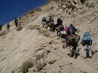 trekkers and porters