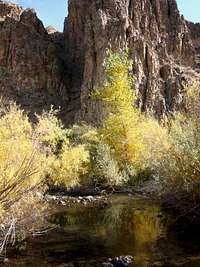 desert creek