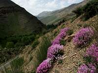 Heraz valley, northern Iran