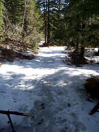 Snowy Trail #9