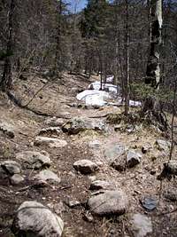 Wheeler Peak trail