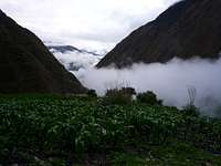 Typical Andean cloud blanket