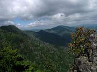 View from Chimney Tops 5