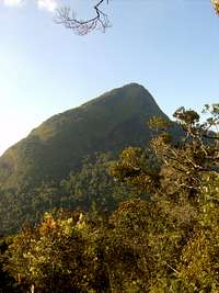 Pico da Tijuca