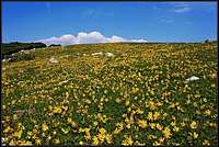 Struska summit