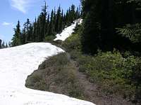 Trail from Union Peak to Jove Peak