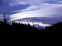 A view of Mt. Shasta from...