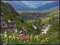 Dense vegetation