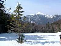 Algonquin Peak from Mt....