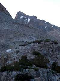 Mt. Agassiz