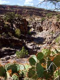 Big Dominguez Canyon