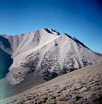 Boundary Peak