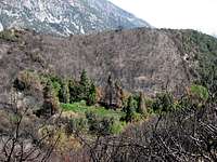 Devastation After the 2008 Wildfire