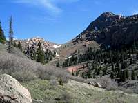 From the West Fork Trail,...