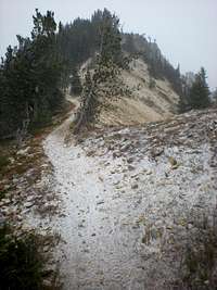 Mt Clifty summit ridge