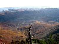 From Celo Knob