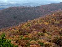 Looking East from Duncan Knob in October
