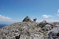 Cairn on Ross Peak Summit