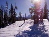 Tracks in the Central Oregon Cascades near Mt Washington. 