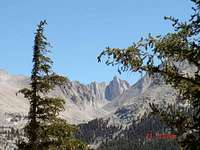 looking at Mt Whitney through the trees 