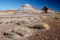 Tepees in Petrified Forest