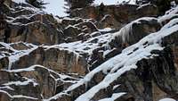 Ice climbing chamois